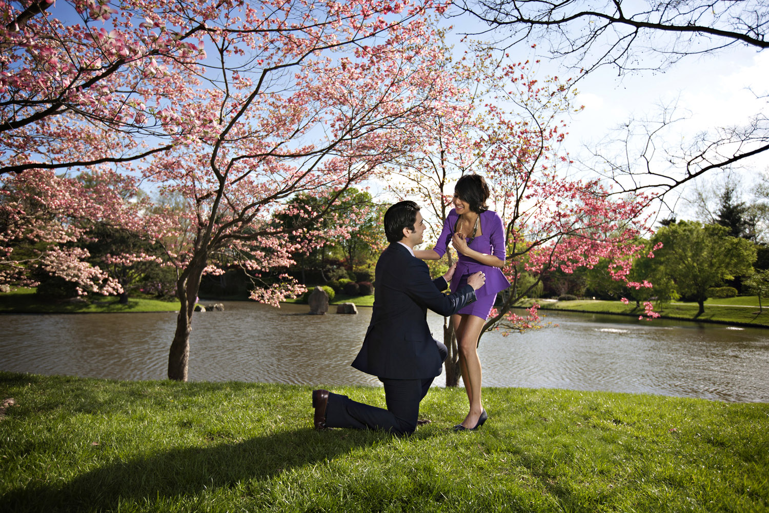 Proposal in park