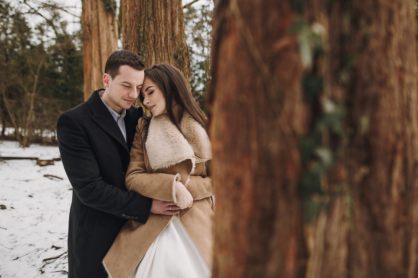 A winter wedding with the bride and groom posing amongst trees in the snow