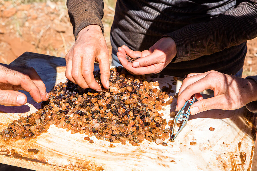 A collection of Garnet gemstones being sorted from a sieve by hand in Gemtree, Northern Territory, Australia